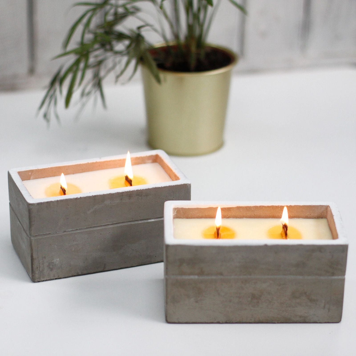 Concrete Wooden Wick Candle