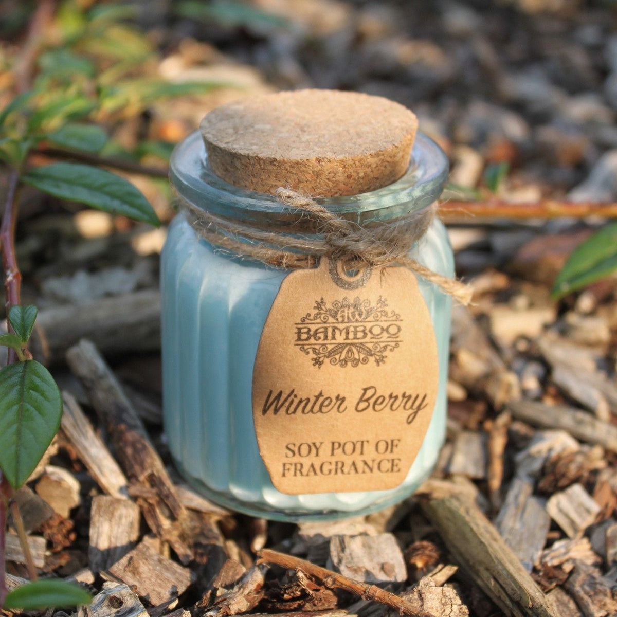 Soy Pot of Fragrance Candle